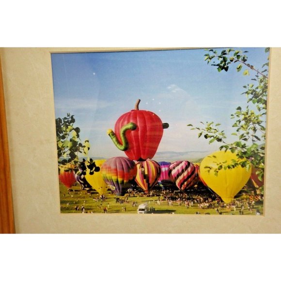 Steamboat Springs Colorado Balloon Rodeo Framed Photo Print Hot Air Balloons - Picture 3 of 7